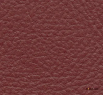Leather-5