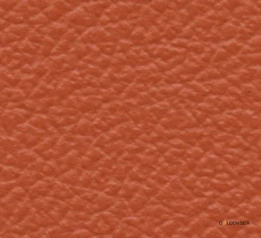 Leather-9