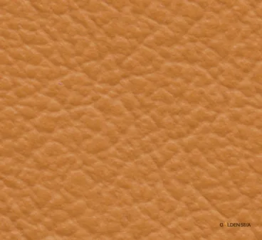 Leather-10
