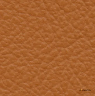 Leather-11