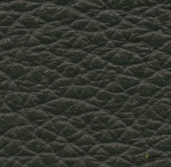 Leather-17