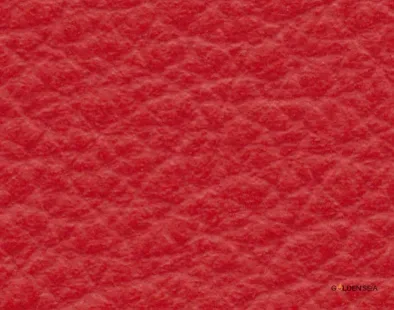 Leather-1 Leather-1 - Image 1