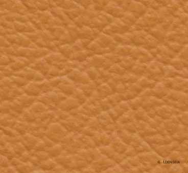 Leather-10 Leather-10 - Image 1