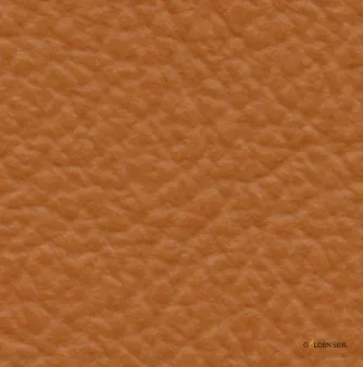 Leather-11 - Image 1