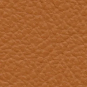 Leather-11