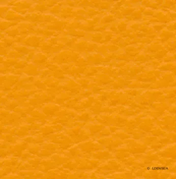 Leather-12 - Image 1