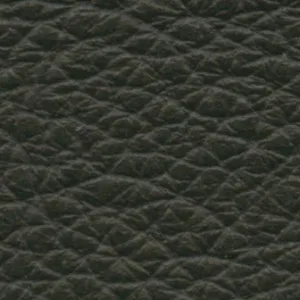 Leather-17