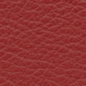 Leather-2
