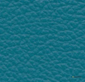 Leather-20 - Image 1