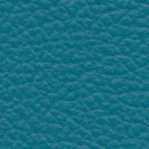 Leather-20