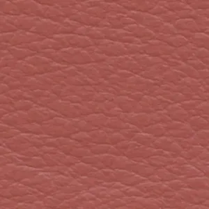 Leather-4