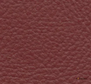 Leather-5 - Image 1