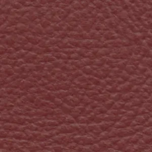 Leather-5