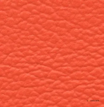 Leather-7 - Image 1