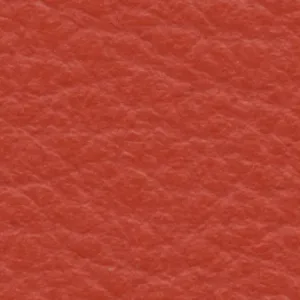 Leather-8
