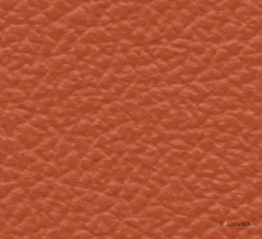 Leather-9 - Image 1
