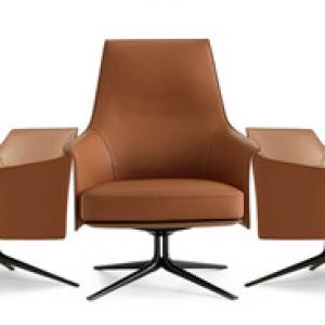 Leisure chair E834