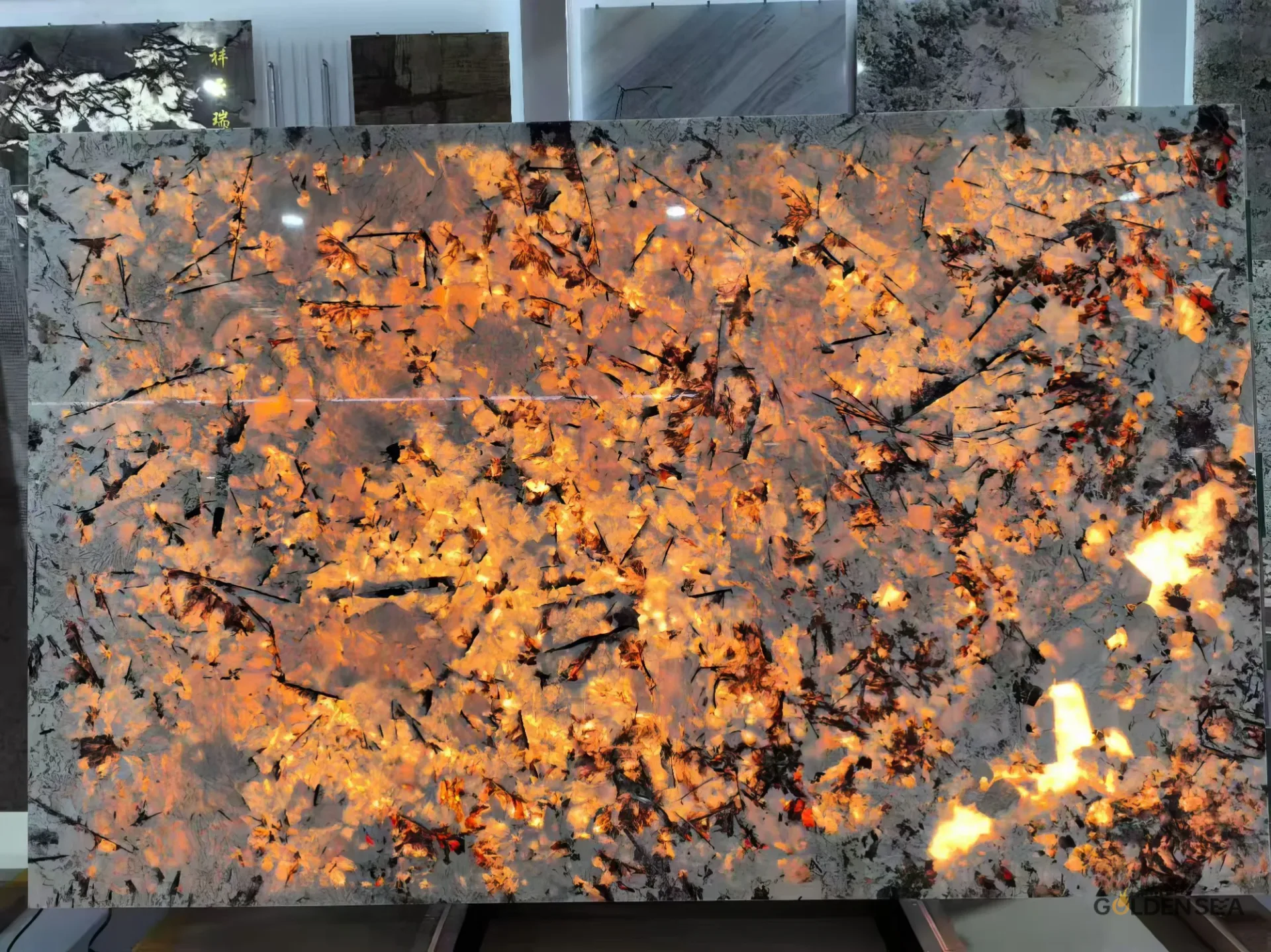 Pandora Marble - Image 2